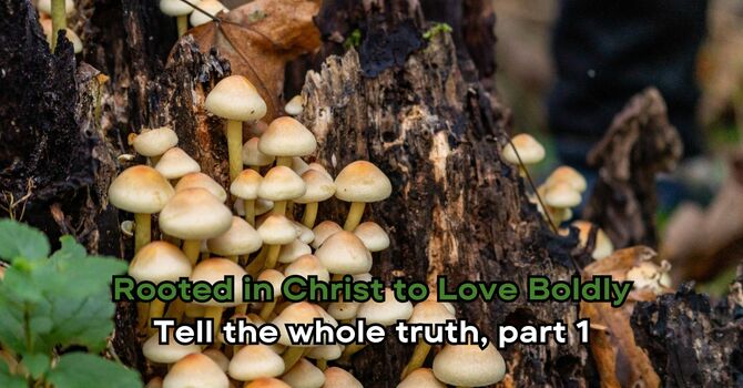 Tell the Whole Truth, part 1