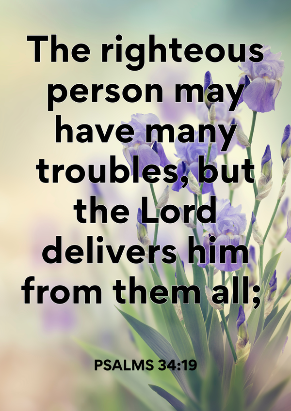 VERSE OF THE WEEK