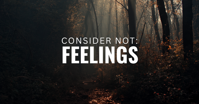 Consider Not: Feelings image