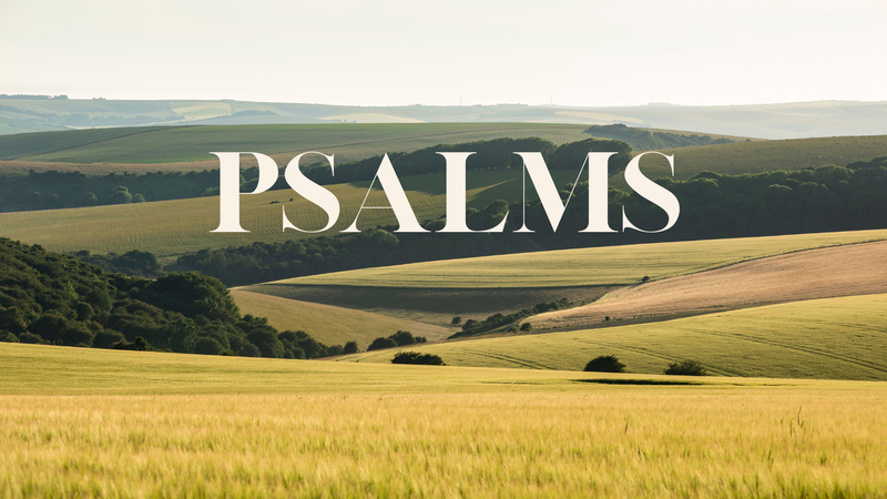 Psalm 49