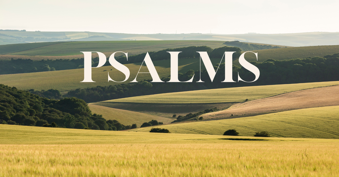 Psalm 49