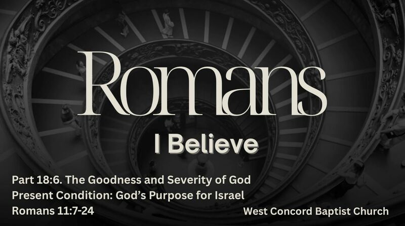 The Goodness and Severity of God, Present Condition: God's Purpose for Israel