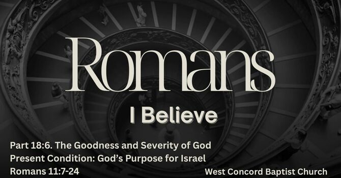 The Goodness and Severity of God, Present Condition: God's Purpose for Israel