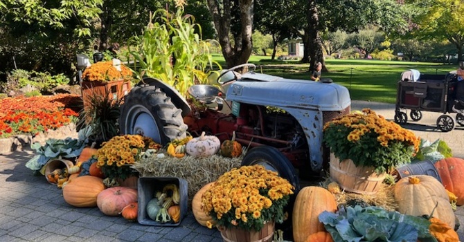 Fall Festival