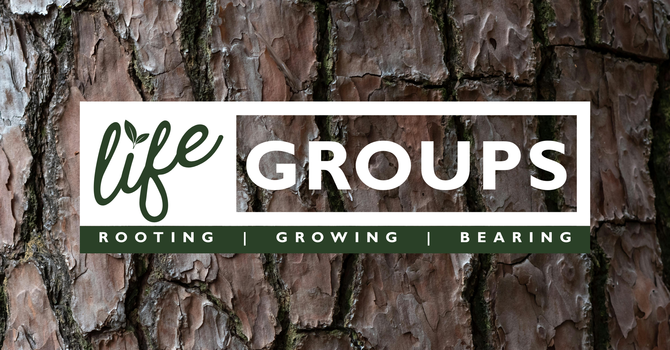 Life Groups-Fall Registration