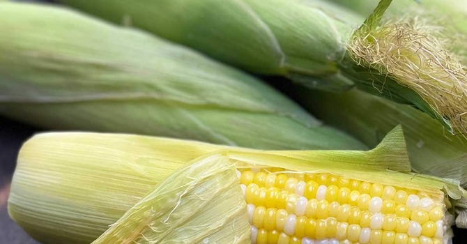 Cobs and Community