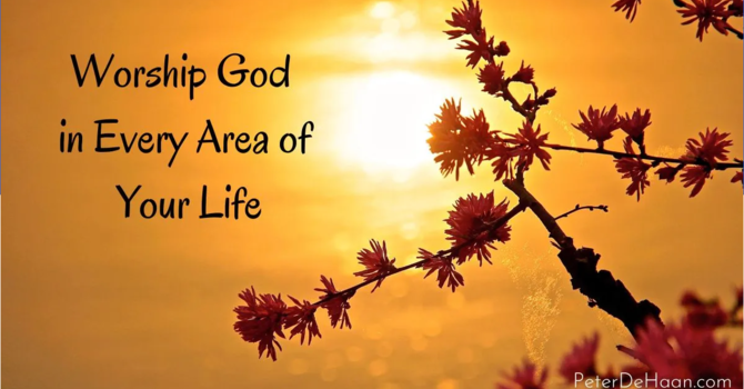 Worship Schedule