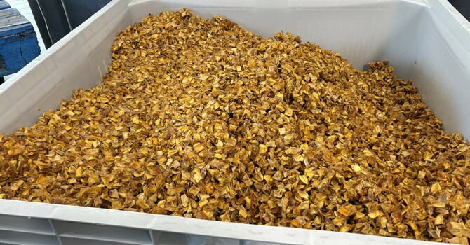 Mmm! Dried Mango!