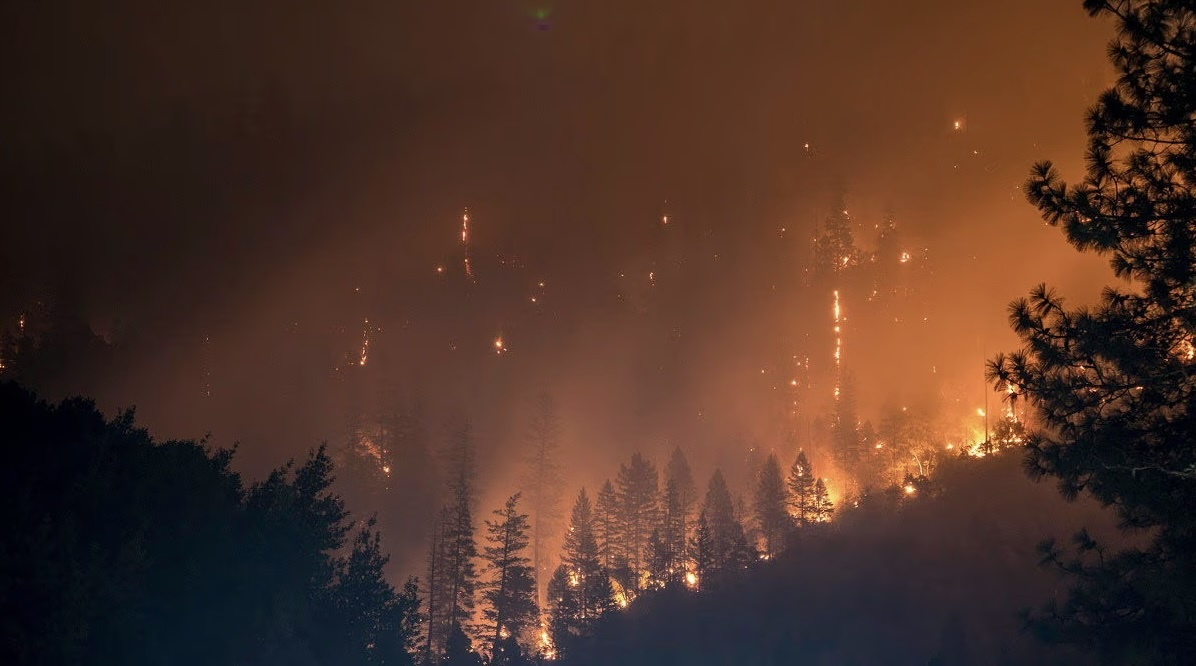Slideshow image