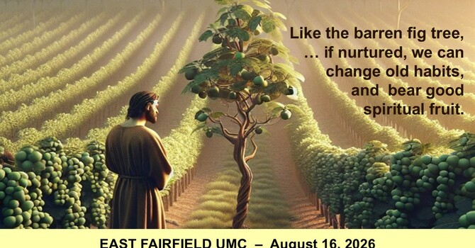 The Barren Fig Tree image