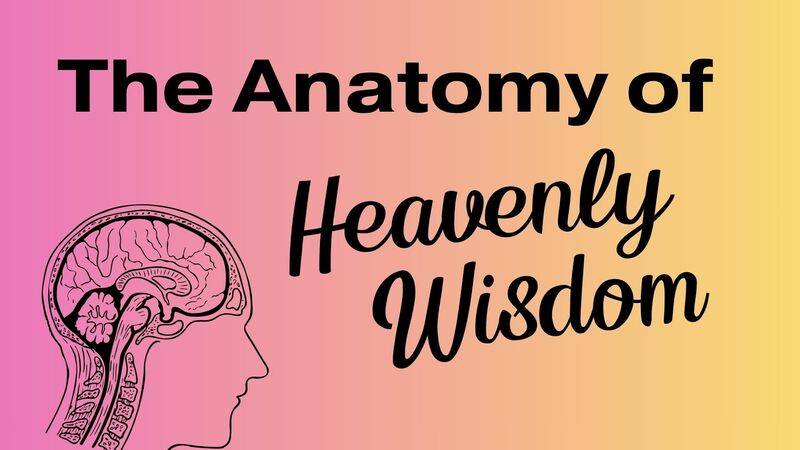 The Anatomy of Heavenly Wisdom