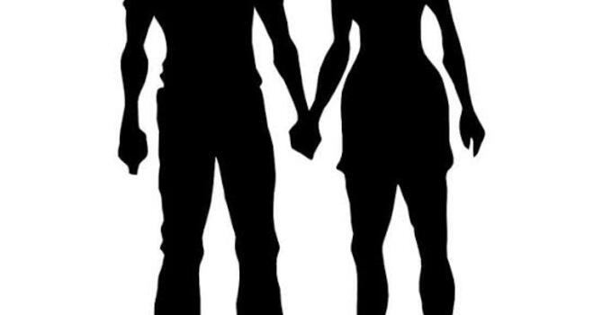 The Lines that Divide