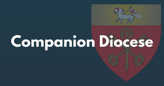 Consecration of Coadjutor Bishop of Ho