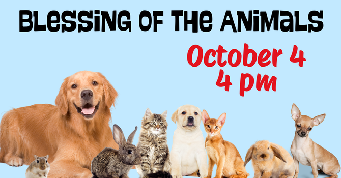 Blessing of the Animals