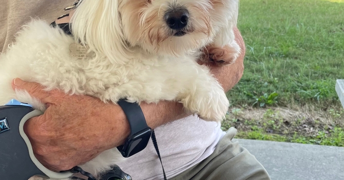 Blessing Of The Animals