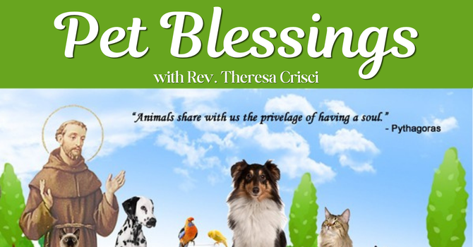 Pet Blessings