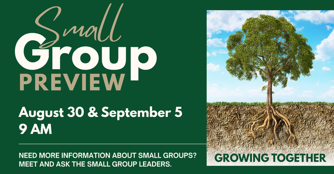 Small Group Preview