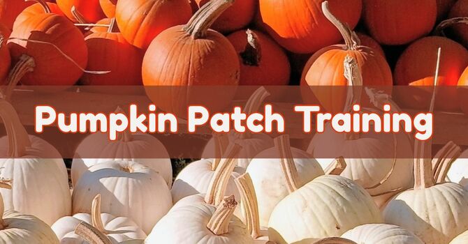 Pumpkin Patch Training
