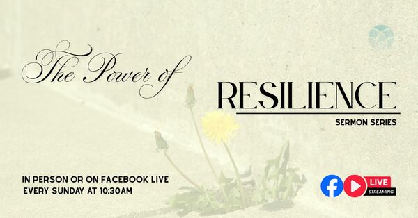 The Power of Resiliency