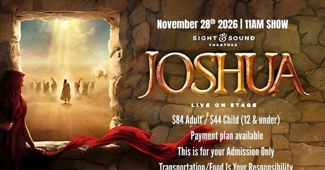 Joshua Sight & Sound Trip