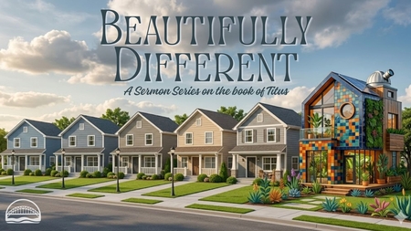 Beautifully Different