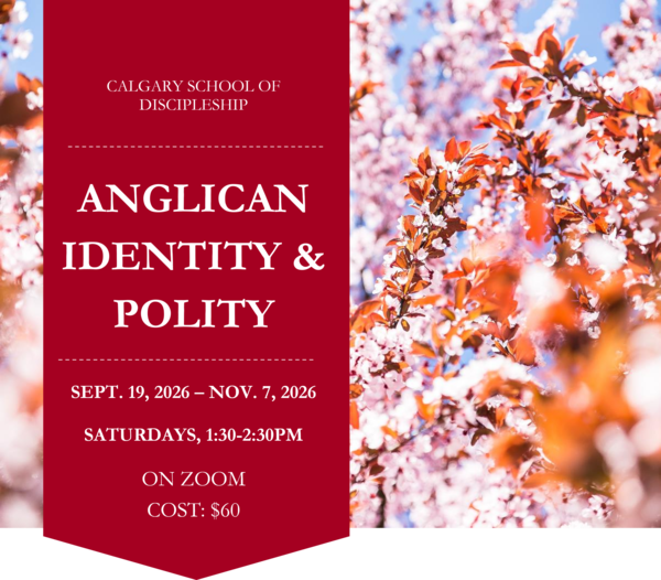 Anglican Identity & Polity