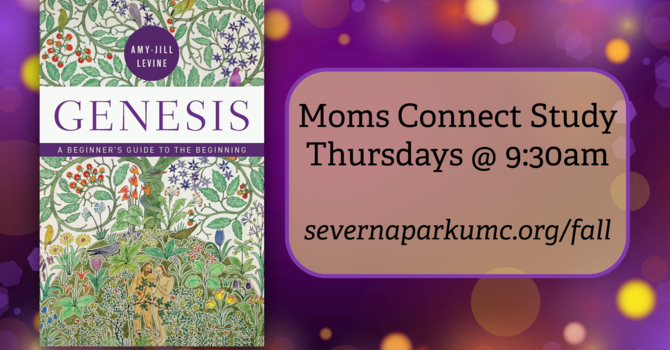 Moms Connect Study: Genesis