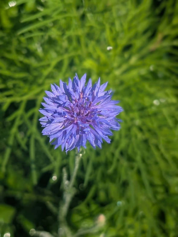 Slideshow image