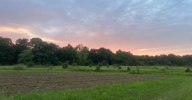 Farm Grants image
