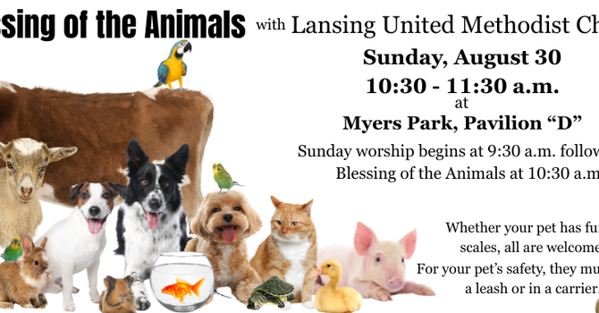Worship in the Park & Blessing of the Animals