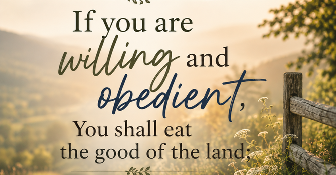 Willing and Obedient image