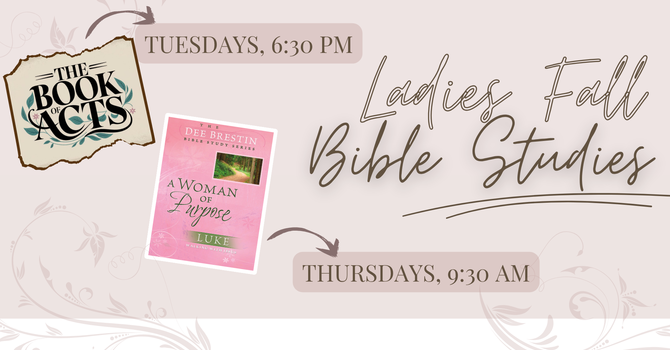 Ladies Fall Bible Studies