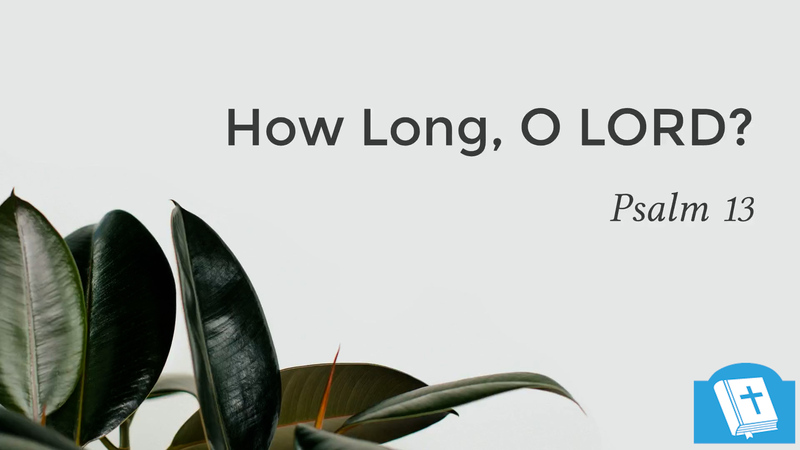  How Long, O Lord?