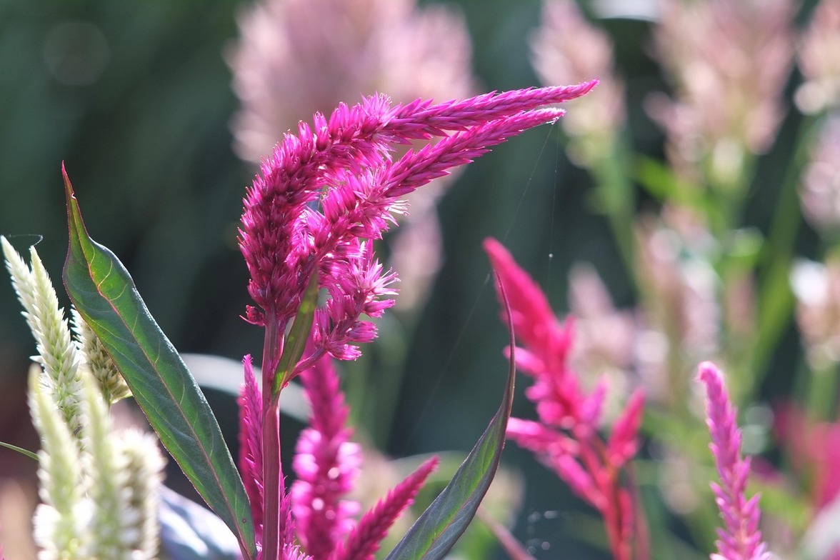 Slideshow image