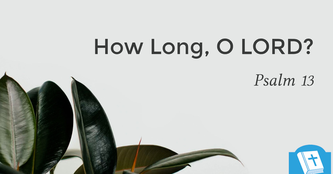  How Long, O Lord?