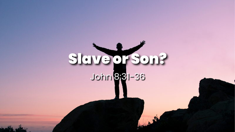 Slave or Son?