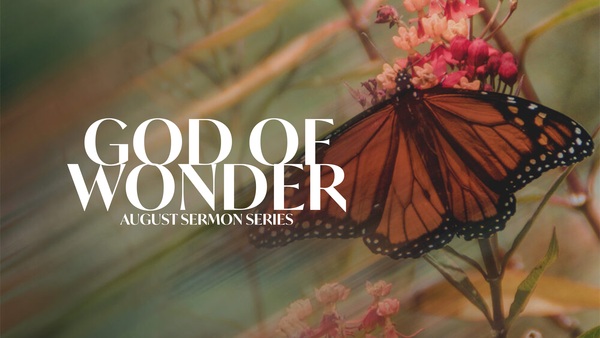 The God of Wonder