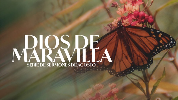 Dios de Maravilla