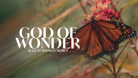 The God of Wonder