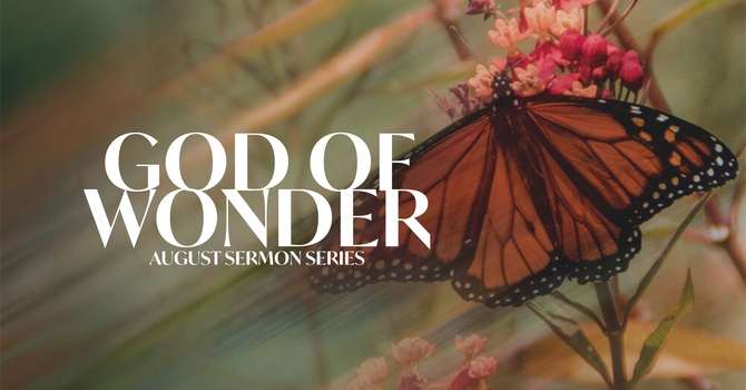 The Wonder of his Presence