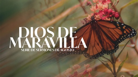 Dios de Maravilla