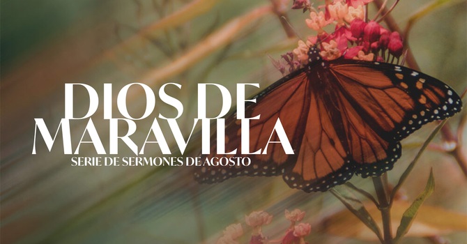 la Maravilla de su Presencia
