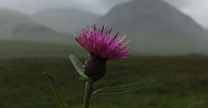 Scottish Country dancing