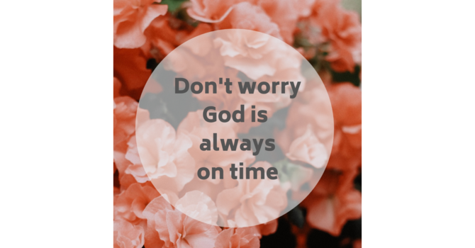12th Sunday after Pentecost