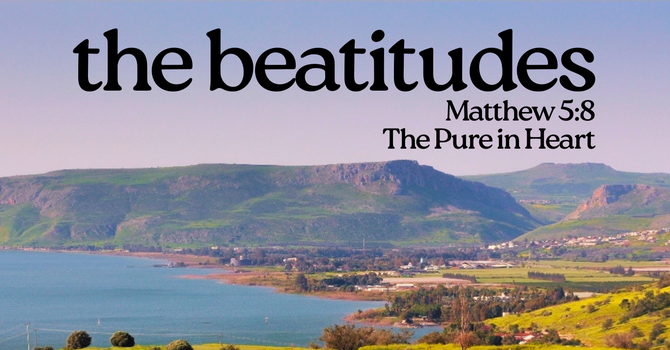The Pure In Heart