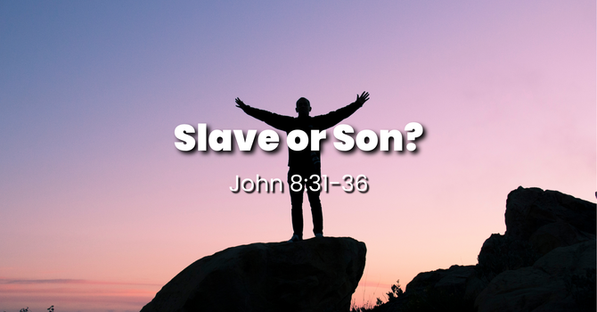 Slave or Son?