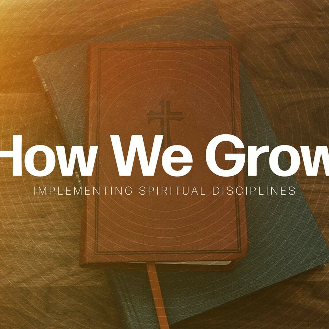 How We Grow #2- The Discipline of Reading the Bible episode artwork
