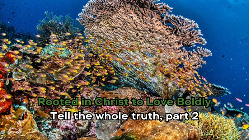 Tell the whole truth, part 2