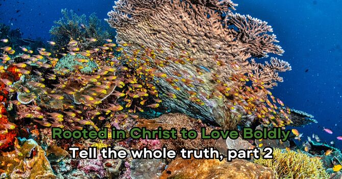 Tell the whole truth, part 2