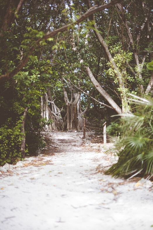 Slideshow image